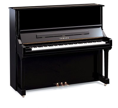 画像1: 【送料別・代引不可】YAMAHA　YUシリーズ YU33