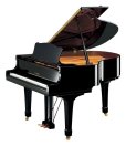 画像1: 【送料別・代引不可】YAMAHA　C Traditional シリーズ C1TD (1)