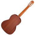 画像2: Aria　Concert Series ACE-5C -Made in SPAIN- (2)