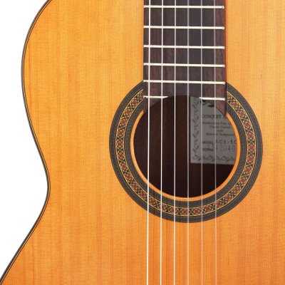 画像3: Aria　Concert Series ACE-5C -Made in SPAIN-