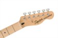 画像5: Squier by Fender　Affinity Series Telecaster Butterscotch Blonde