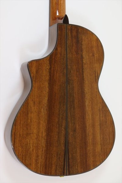 画像4: Martinez エレガット MSCC-14 OV