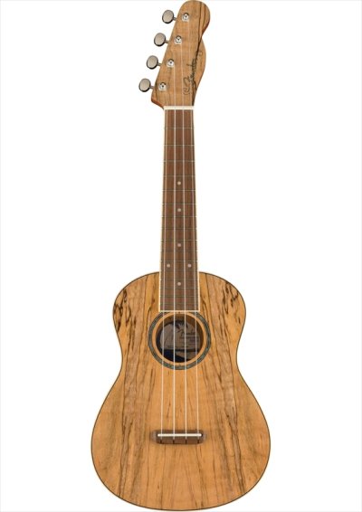 画像2: Fender　Zuma Exotic Concert Ukulele Natural Spalted Maple