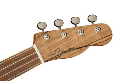 画像5: Fender　Zuma Exotic Concert Ukulele Natural Spalted Maple