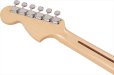 画像6: Fender　Made in Japan Limited International Color Stratocaster Sahara Taupe (6)