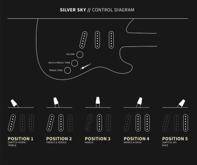 画像9: PRS (Paul Reed Smith)　Bolt-On - Silver Sky Rosewood Moc Sand Satin 【2023年製】