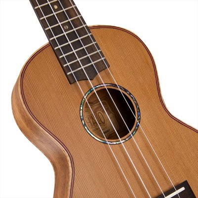 画像4: MAHALO　MASTER SERIES MM2（コンサート）