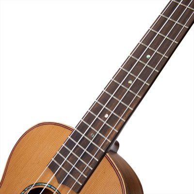 画像6: MAHALO　MASTER SERIES MM2（コンサート）