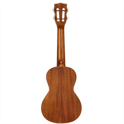 画像3: MAHALO　MASTER SERIES MM2（コンサート）