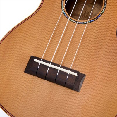 画像5: MAHALO　MASTER SERIES MM2（コンサート）