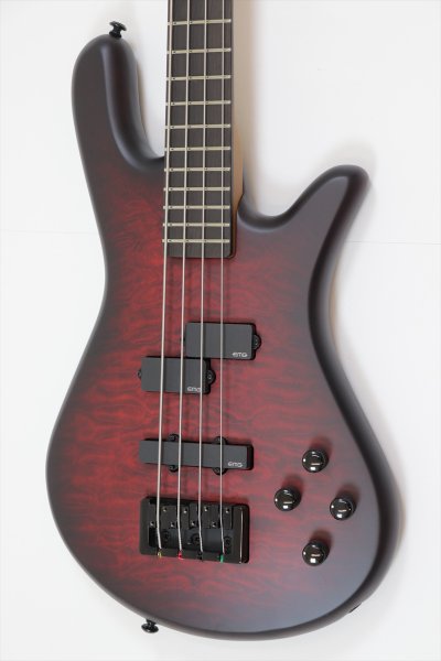 画像3: Spector　NS Pulse 4 II Black Cherry Matte