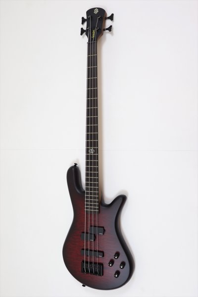 画像1: Spector　NS Pulse 4 II Black Cherry Matte