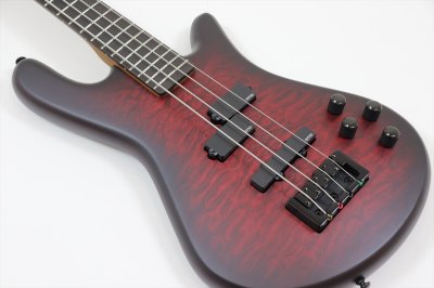 画像5: Spector　NS Pulse 4 II Black Cherry Matte