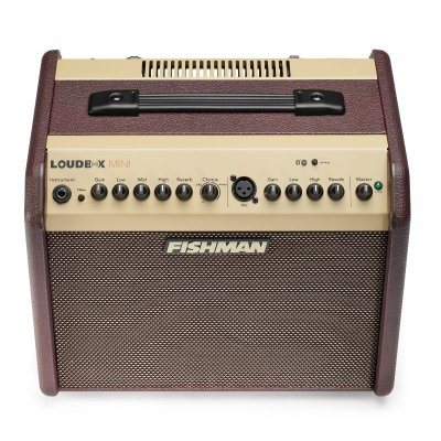 画像3: FISHMAN　Loudbox Mini Bluetooth エレアコアンプ