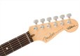 画像5: Fender　Jeff Beck Stratocaster Olympic White (5)