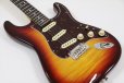 画像8: Fender　70th Anniversary American Professional II Stratocaster Comet Burst (8)