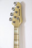 画像4: VOX　STARSTREAM ACTIVE BASS 2S ARTIST WHPW