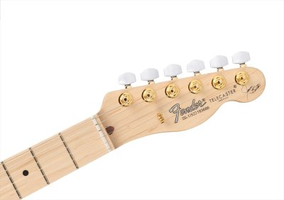 画像5: Fender　James Burton Telecaster Red Paisley Flames