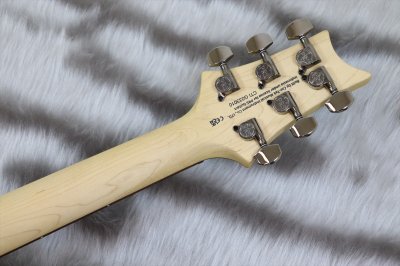 画像7: PRS (Paul Reed Smith) SE Swamp Ash CE 24 "Sandblasted" LTD / Sandblasted Green 【2024年製】