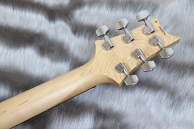 画像7: PRS (Paul Reed Smith)　Bolt-On - CE 24 Semi-Hollow Eriza Verde 【2021年製】