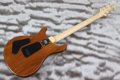 画像5: PRS (Paul Reed Smith)　Bolt-On - CE 24 Semi-Hollow Eriza Verde 【2021年製】