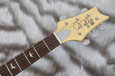 画像4: 【中古】PRS (Paul Reed Smith) SE Silver Sky Dragon Fruit 【2022年製】