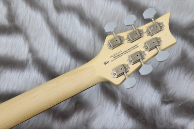 画像7: 【中古】PRS (Paul Reed Smith) SE Silver Sky Dragon Fruit 【2022年製】