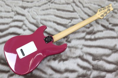 画像5: 【中古】PRS (Paul Reed Smith) SE Silver Sky Dragon Fruit 【2022年製】
