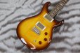 画像3: PRS (Paul Reed Smith)　SE DGT McCarty Tobacco Sunburst (Bird Inlays) 【2023年製】