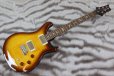 画像2: PRS (Paul Reed Smith)　SE DGT McCarty Tobacco Sunburst (Bird Inlays) 【2023年製】 (2)