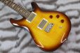 画像8: PRS (Paul Reed Smith)　SE DGT McCarty Tobacco Sunburst (Bird Inlays) 【2023年製】