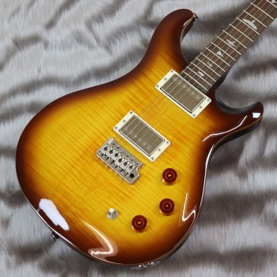 画像1: PRS (Paul Reed Smith)　SE DGT McCarty Tobacco Sunburst (Bird Inlays) 【2023年製】