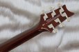 画像7: PRS (Paul Reed Smith)　SE DGT McCarty Tobacco Sunburst (Bird Inlays) 【2023年製】