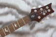 画像4: PRS (Paul Reed Smith)　SE DGT McCarty Tobacco Sunburst (Bird Inlays) 【2023年製】