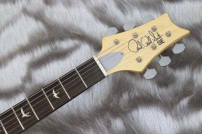 画像4: PRS (Paul Reed Smith)　SE Silver Sky Rosewood Piano Black 【2023年製】