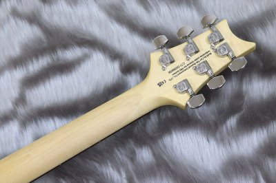 画像7: PRS (Paul Reed Smith)　SE CE 24 Standard Satin Metallic Gold 【2024年製】