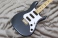 画像3: PRS (Paul Reed Smith)　SE NF3 Maple Gun Metal Gray 【2024年製】