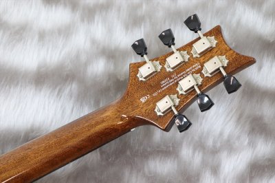 画像7: PRS (Paul Reed Smith) SE P50E Natural with Black Gold 【2022年製】