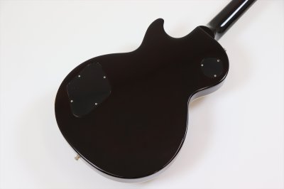 画像6: Gibson Slash Les Paul Standard November Burst