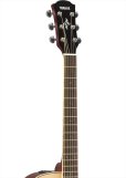 画像3: YAMAHA　APX600 NT (3)