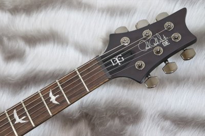 画像4: PRS (Paul Reed Smith) SE DGT Laurel Burl Limited Edition McCarty Tobacco Burst  【2024年製】