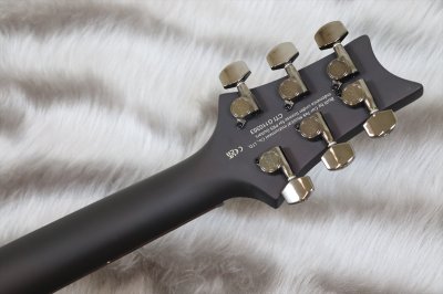 画像7: PRS (Paul Reed Smith) SE DGT Laurel Burl Limited Edition McCarty Tobacco Burst  【2024年製】