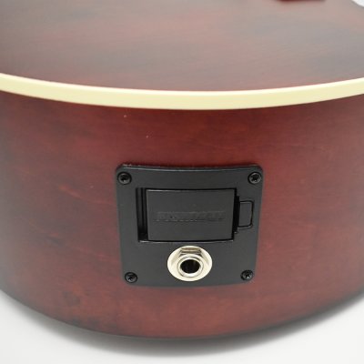 画像6: S.yairi　Primera Series YEF-01/WRD