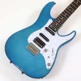 SCHECTER　OL-BH-FM-FXD/ILB