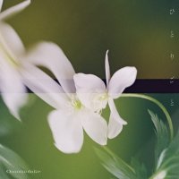 Omoinotake / ひとりごと