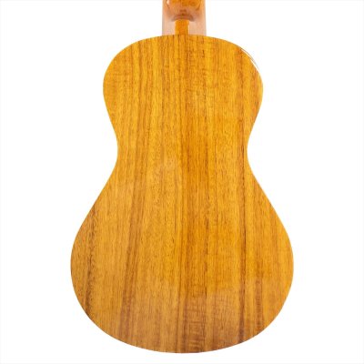 画像5: Famous　コンサートウクレレ FC-5G