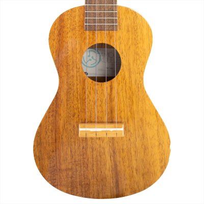 画像4: Famous　コンサートウクレレ FC-5G