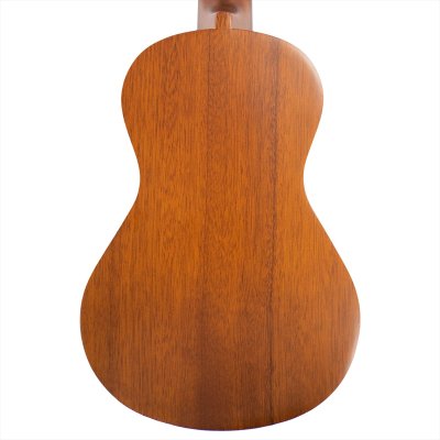 画像5: Famous　コンサートウクレレ FC-1G