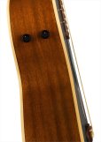 画像4: Fender　Newporter Player Tidepool