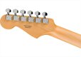 画像5: Fender　Standard Stratocaster Candy Cola (5)